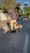 שושה